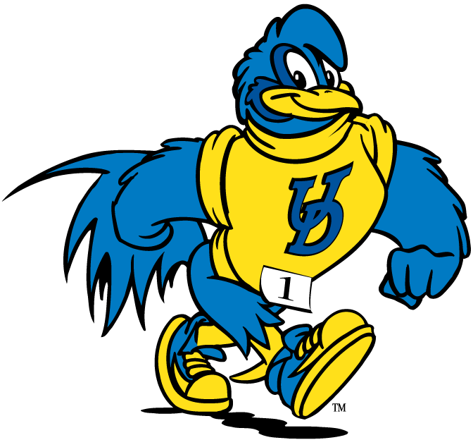 delaware blue hens 1993-pres mascot Logo v3 iron on transfers for clothing
